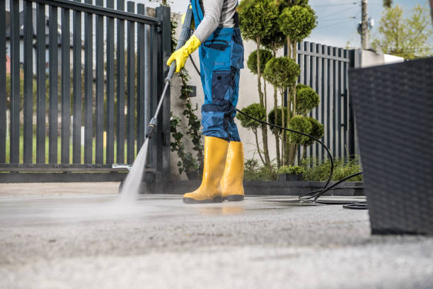 Best Affordable Pressure Washing  in Rosharon, TX