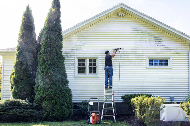 Local Pressure Washing Services in Rosharon, TX