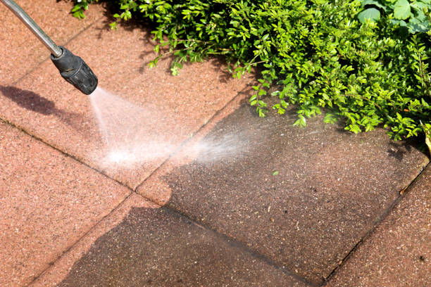 Best Residential Pressure Washing Services  in Rosharon, TX